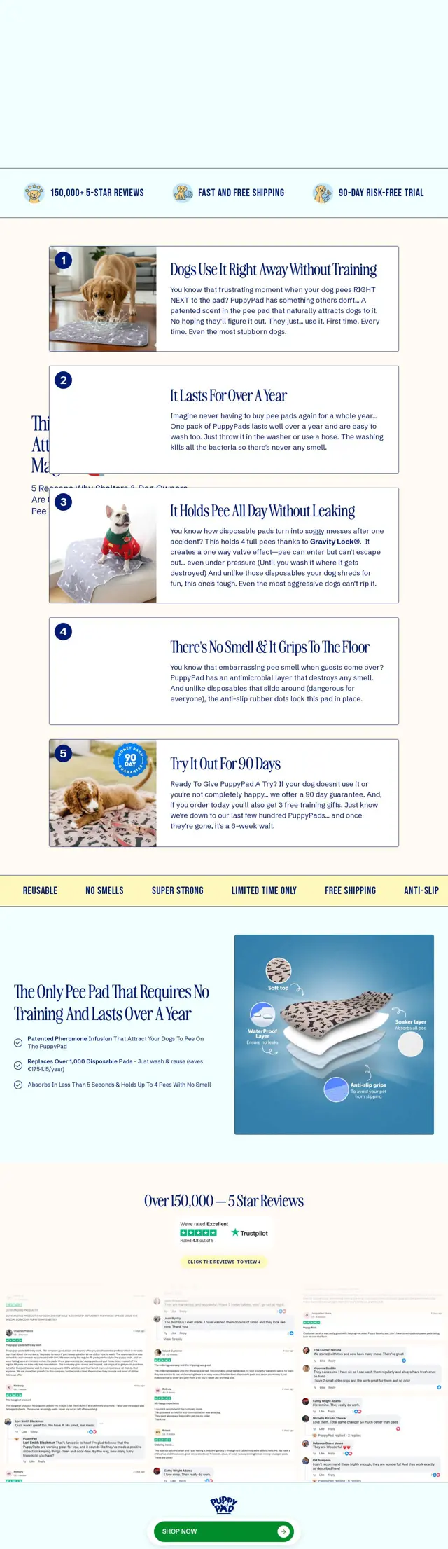 Landing page: This New Pee Pad Attracts Dogs Like A Magnet
